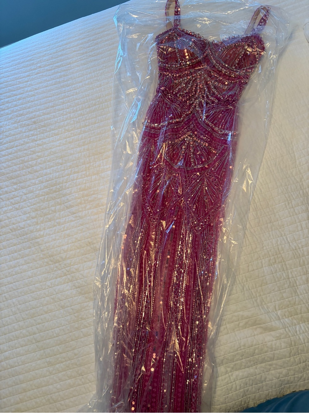 Albina Dyla Pink/Blush Beaded Maxi Dress - Picture 3 of 6